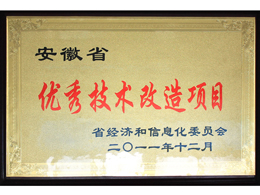 優(yōu)秀技改項(xiàng)目(Outstanding technology?reform?program)